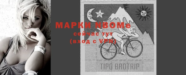 прущие грибы Алексин