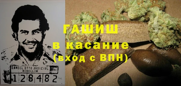 прущие грибы Алексин