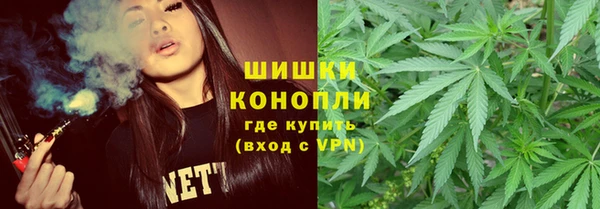 трава Армянск