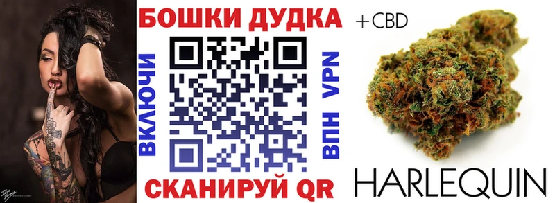 Марихуана сатива  Лахденпохья 